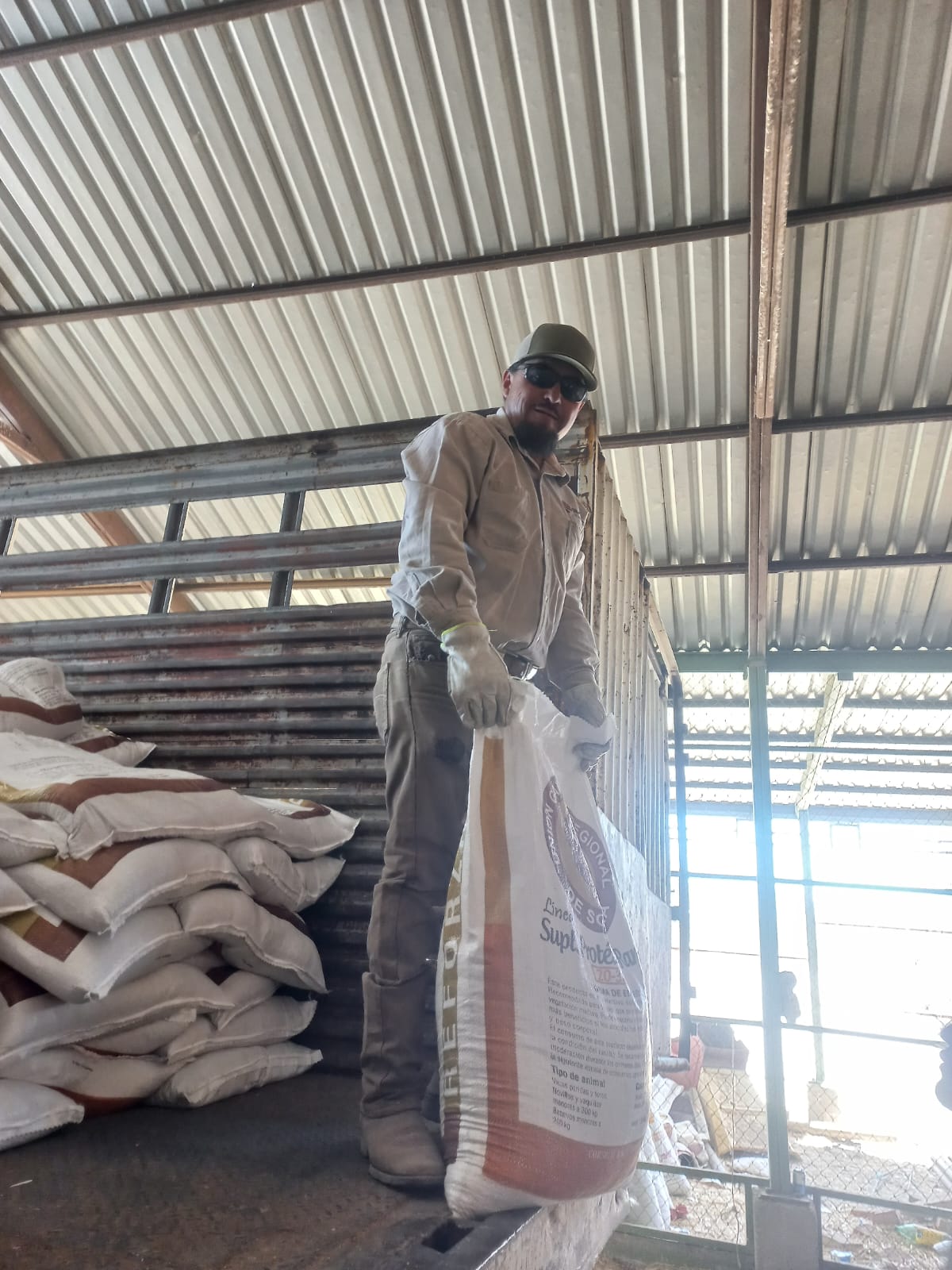 Gobierno de Sonora implementa programa de apoyo alimentario para ganaderos